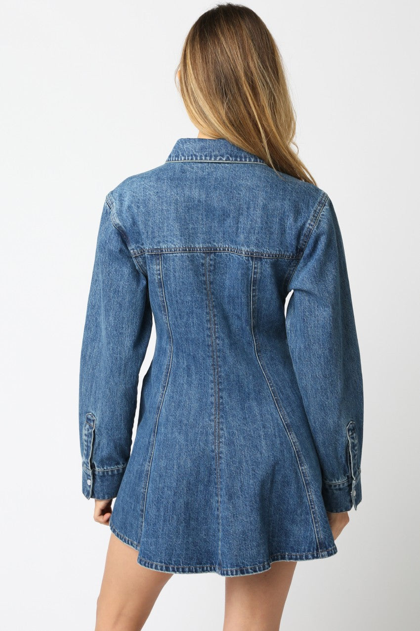 Angelina Denim Button Dress