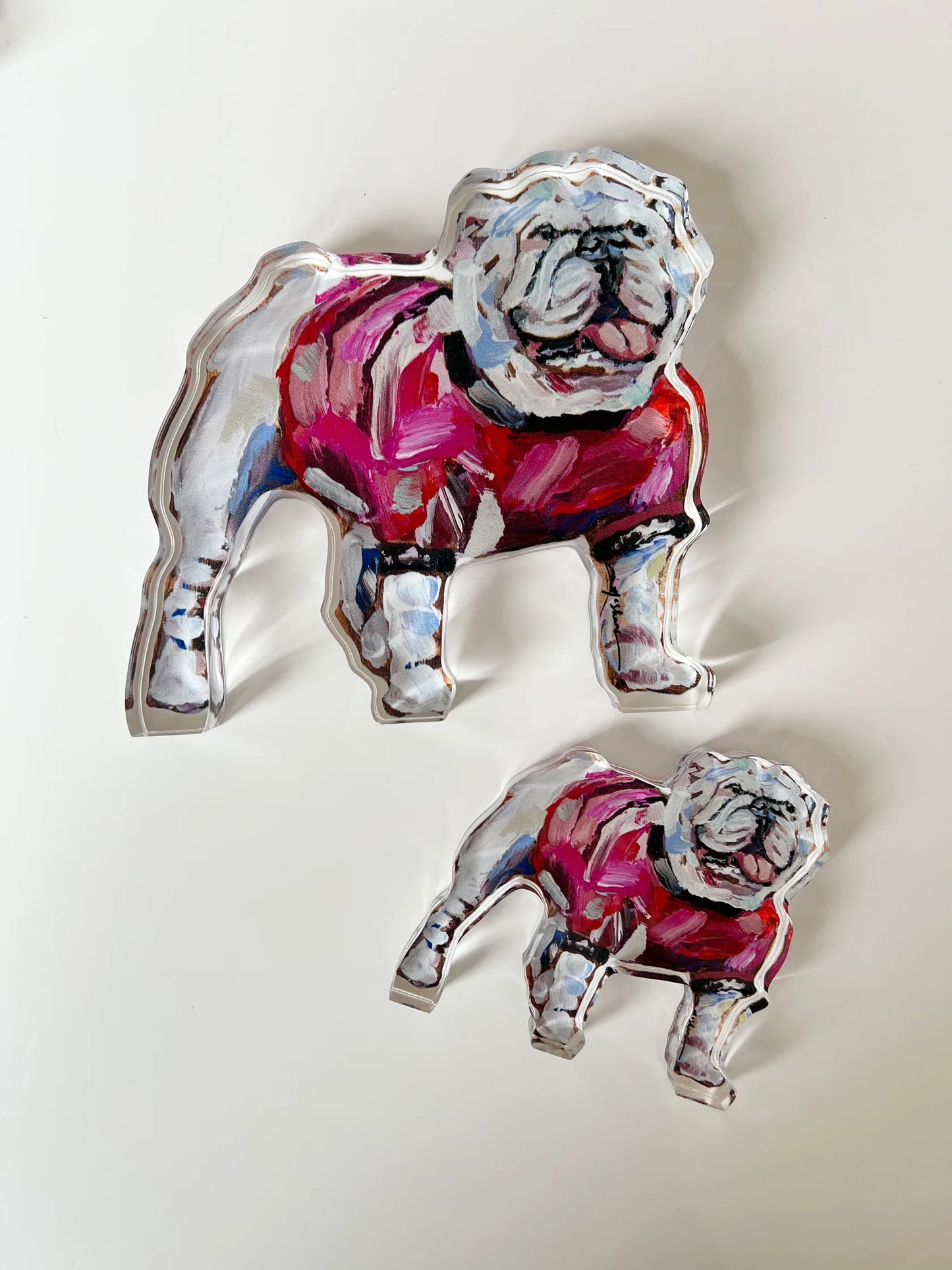 Chelsea McShane Georgia Dawg Large Acrylic Shelfie
