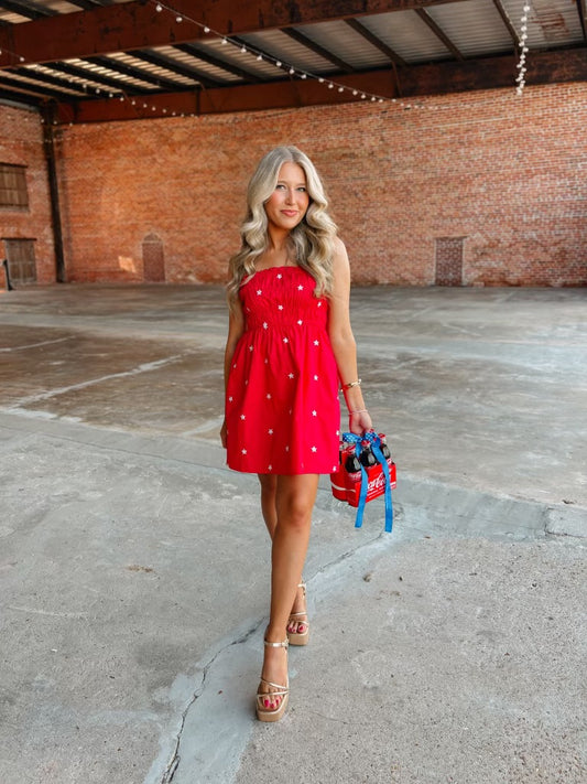 Shining Star Mini Dress