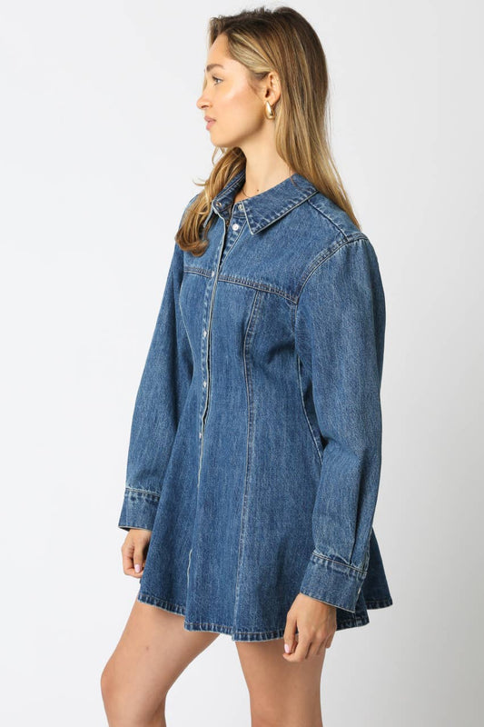 Angela Denim Shirt Mini Dress