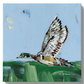 Chelsea McShane "Woodduck Greens" Canvas 12x12