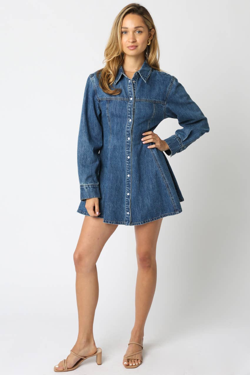 Angela Denim Shirt Mini Dress