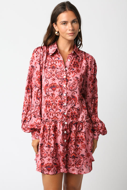 Fall Paisley Button Down Mini Dress