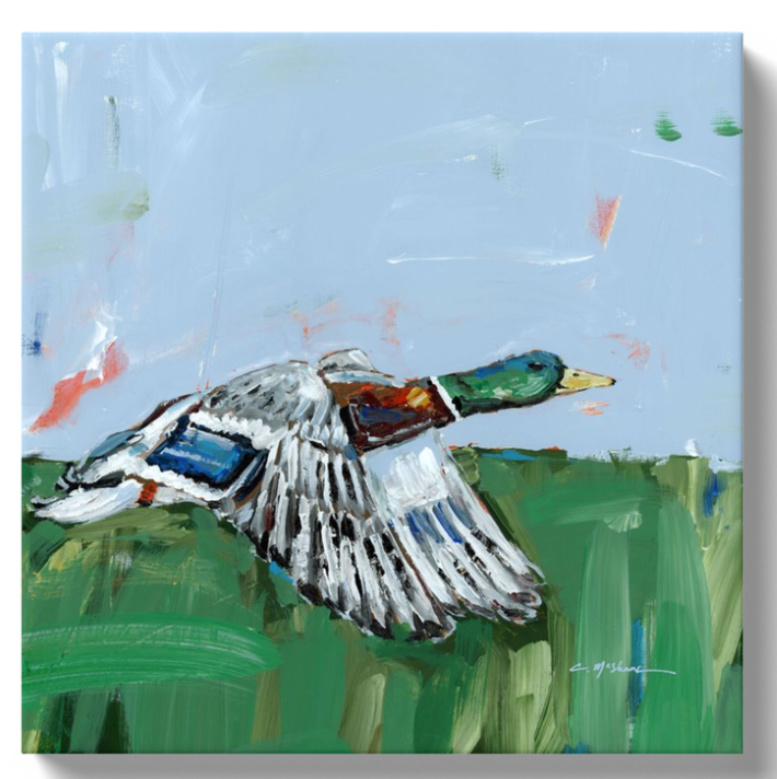 Chelsea McShane "Mallard Greens" canvas 12x12