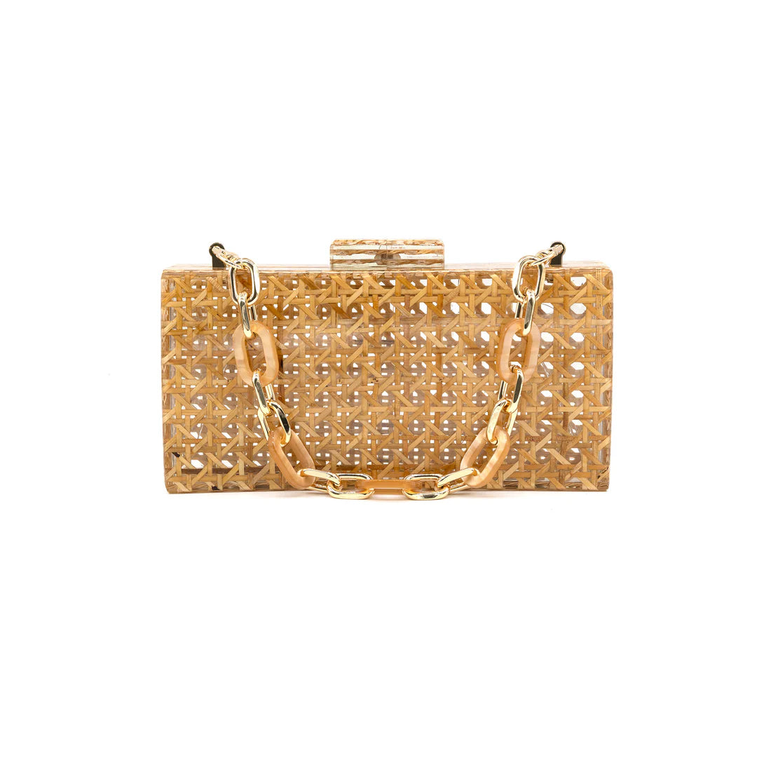 Acrylic Cane Clutch