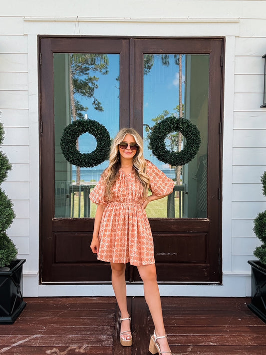 Chainlink Printed Puff Sleeve Mini Dress In Tan