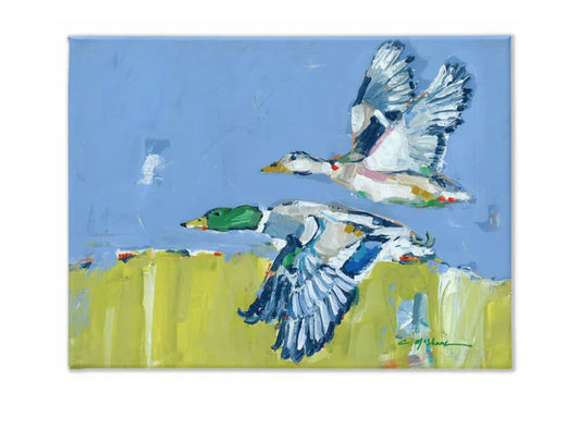 Chelsea McShane Duck Krausing Canvas 11X14