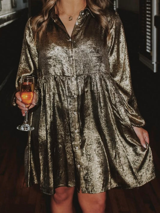 Golden Ticket Button Up Dress