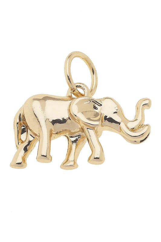 Curved Alligator Charm