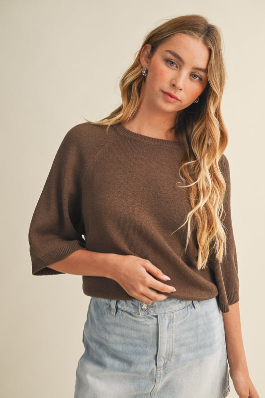 Modern Raglan Sleeve Knit Sweater in Coffee
