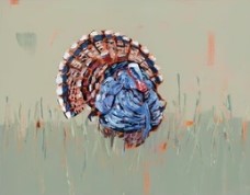 Chelsea McShane New turkey 8x10 Print