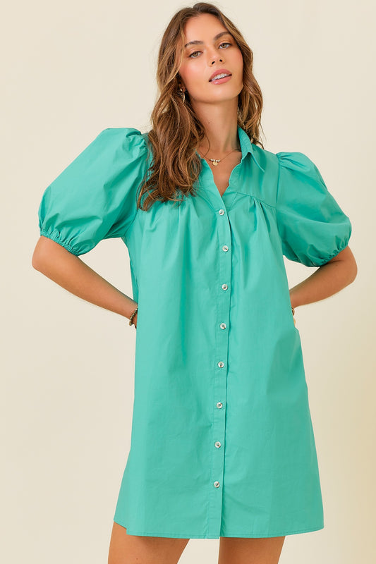 Puff Sleeve Button Down Dress in Sea Foam