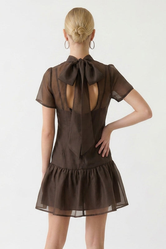 Soft Organza Mock Neck Mini Dress In Brown