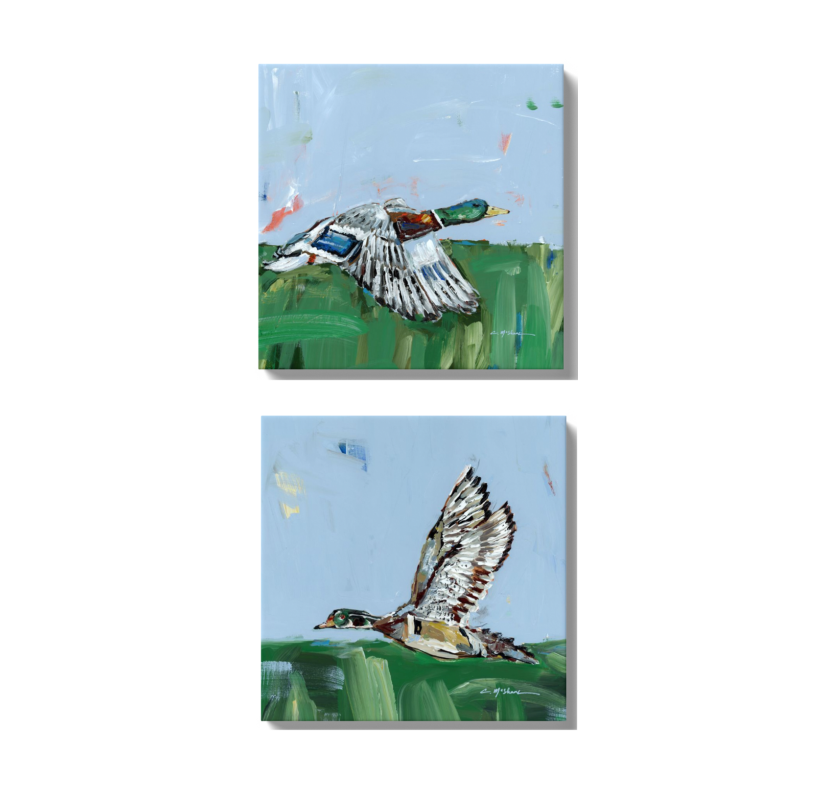 Chelsea McShane "Mallard Greens" canvas 12x12