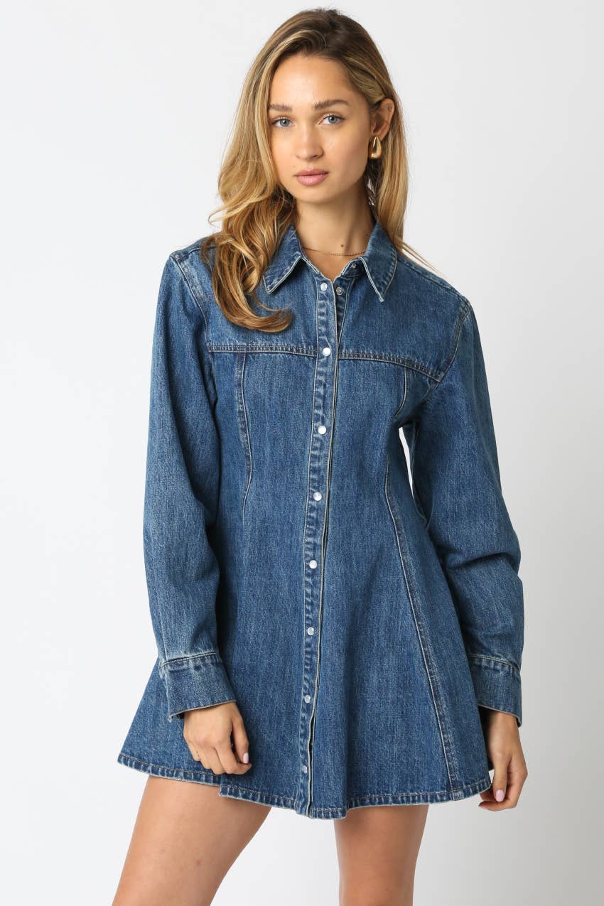 Angela Denim Shirt Mini Dress