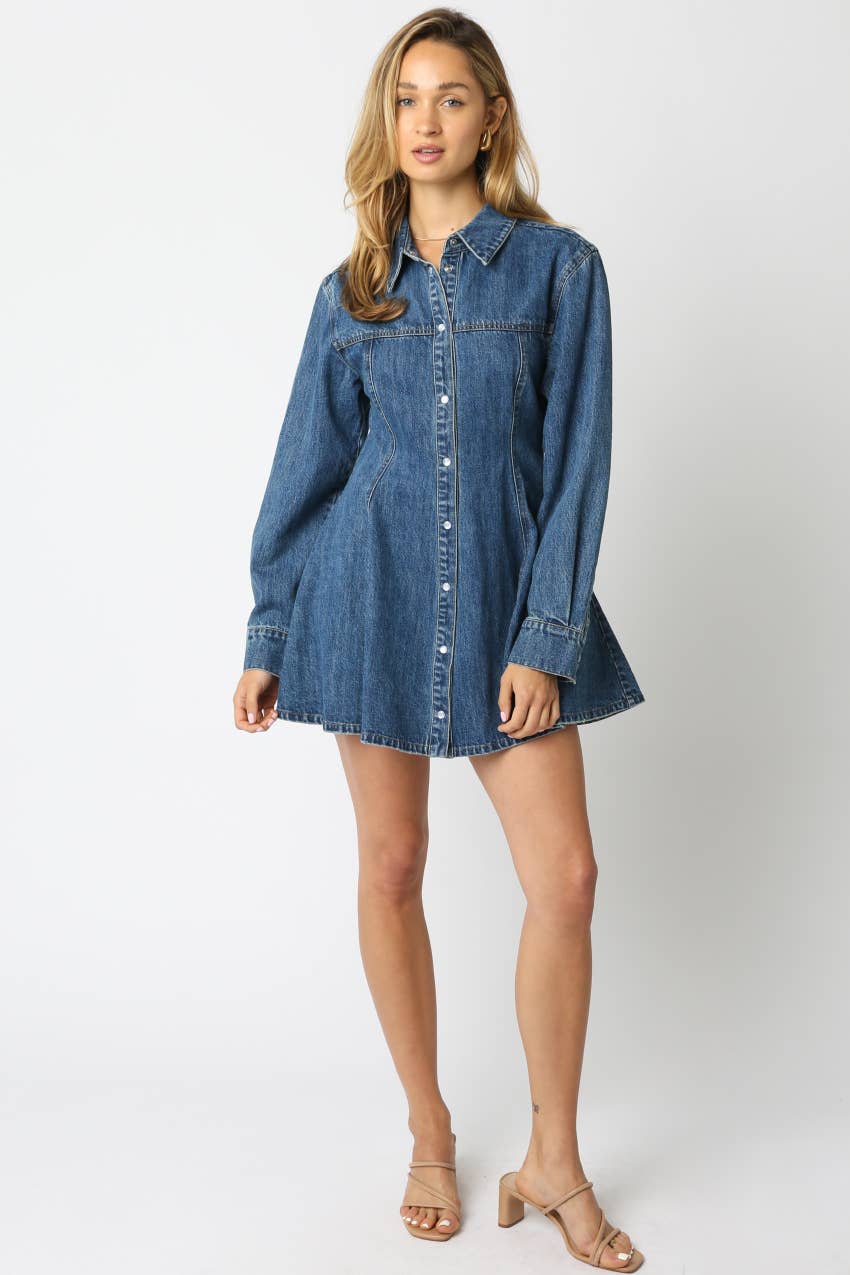 Angela Denim Shirt Mini Dress