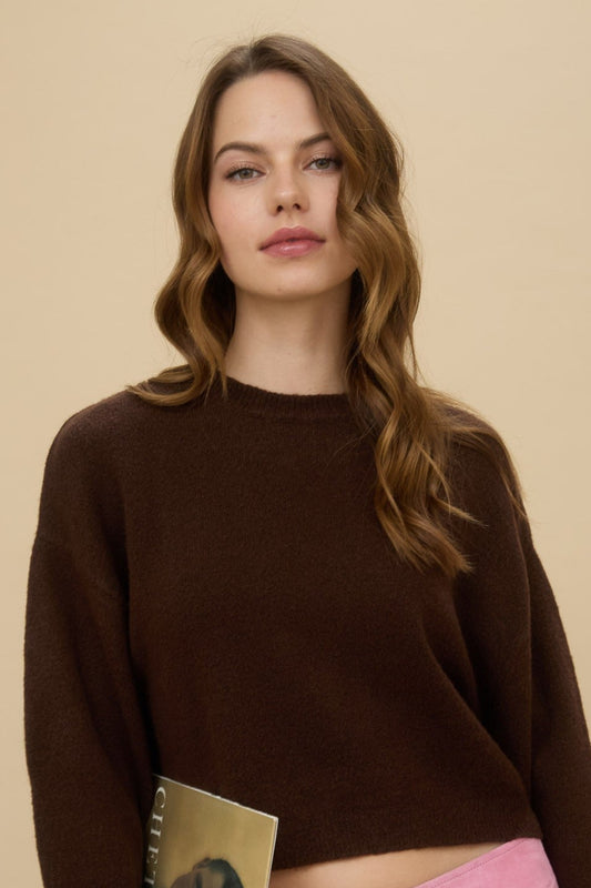 Warm & Cozy Sweater In Brown
